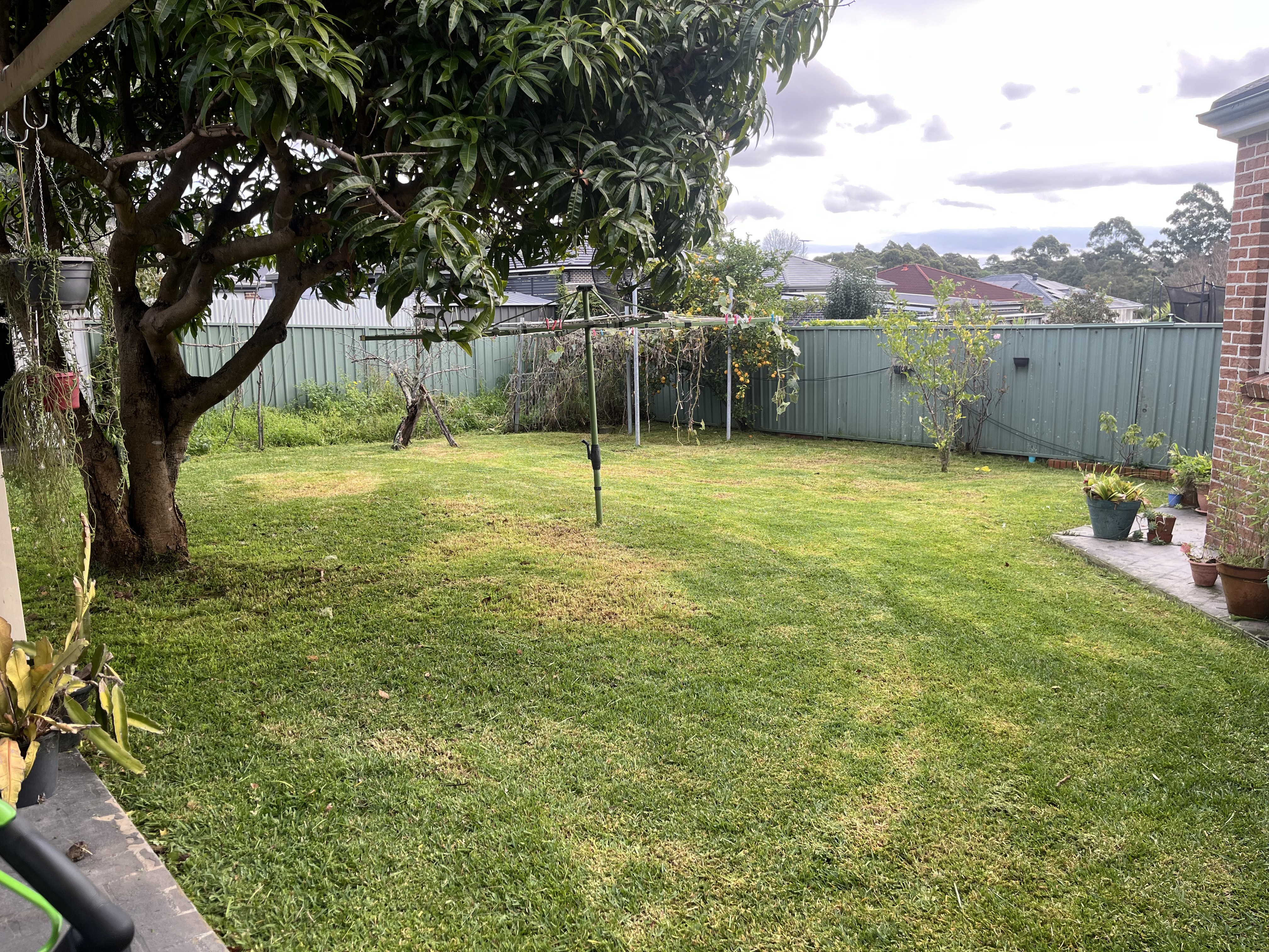 After — Backyard lawn cut back from overgrown to neatly mowed