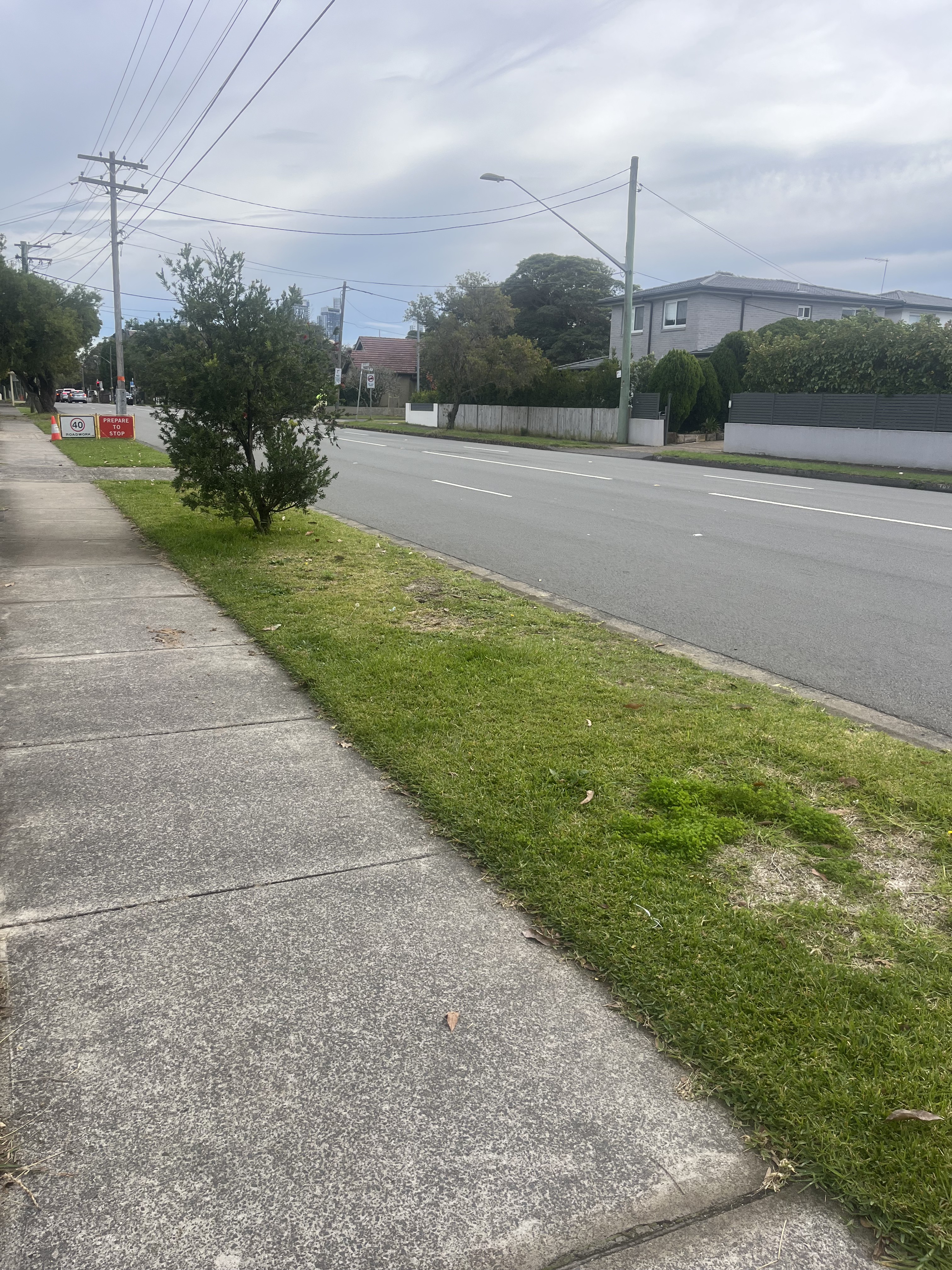 Before — Nature strip tidied from patchy overgrowth to clean-cut finish
