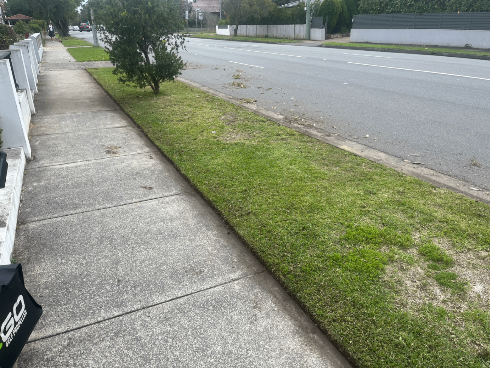 After — Nature strip tidied from patchy overgrowth to clean-cut finish