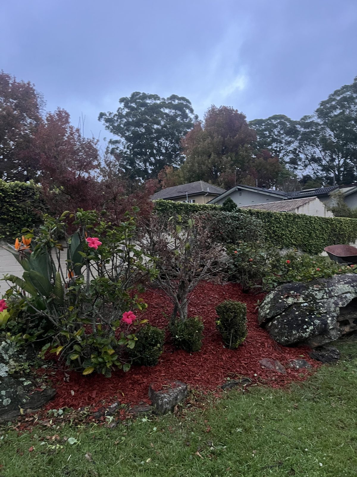 After — Garden bed rejuvenated with fresh mulch installation in Pymble