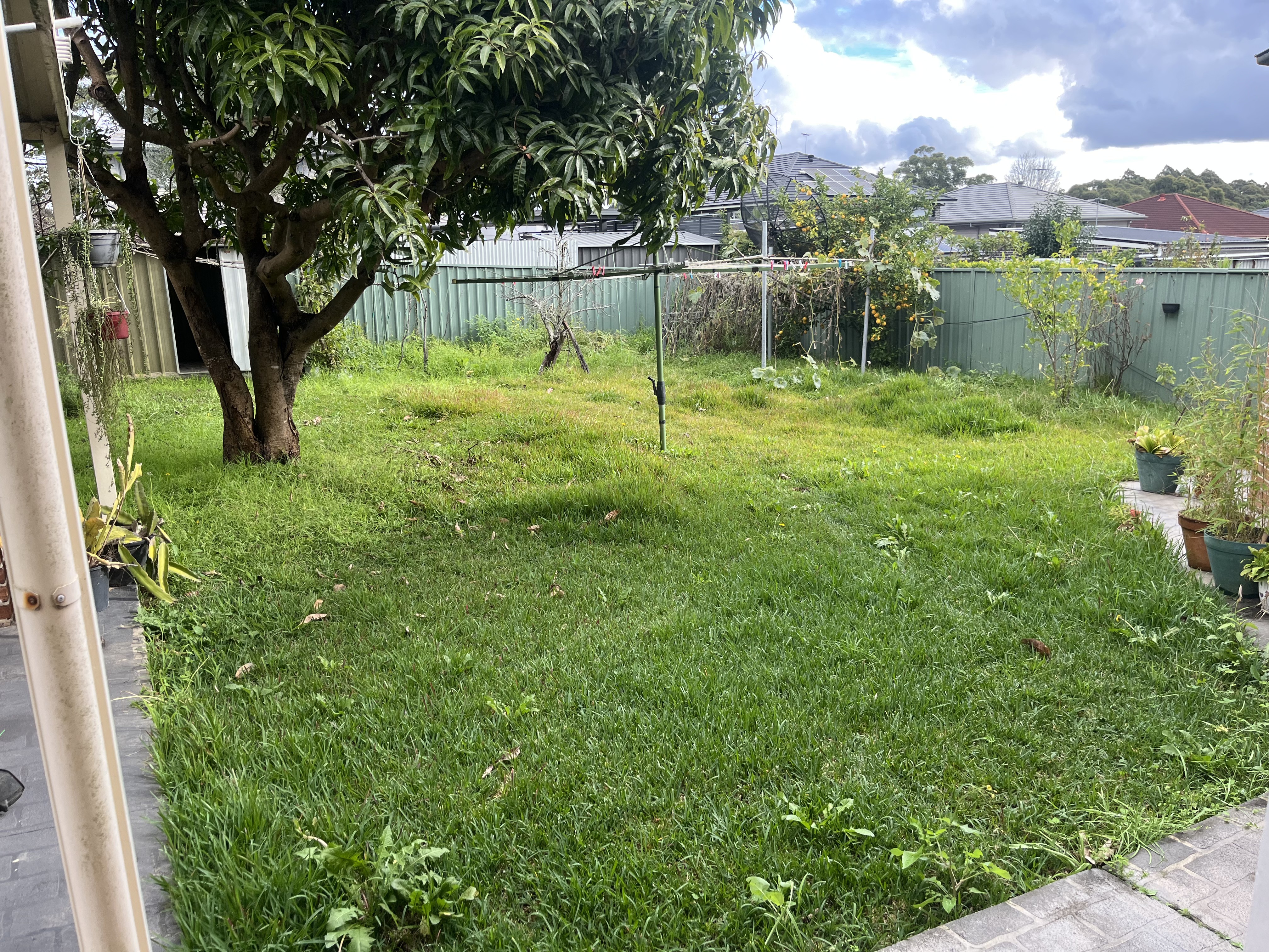 Before — Backyard lawn cut back from overgrown to neatly mowed