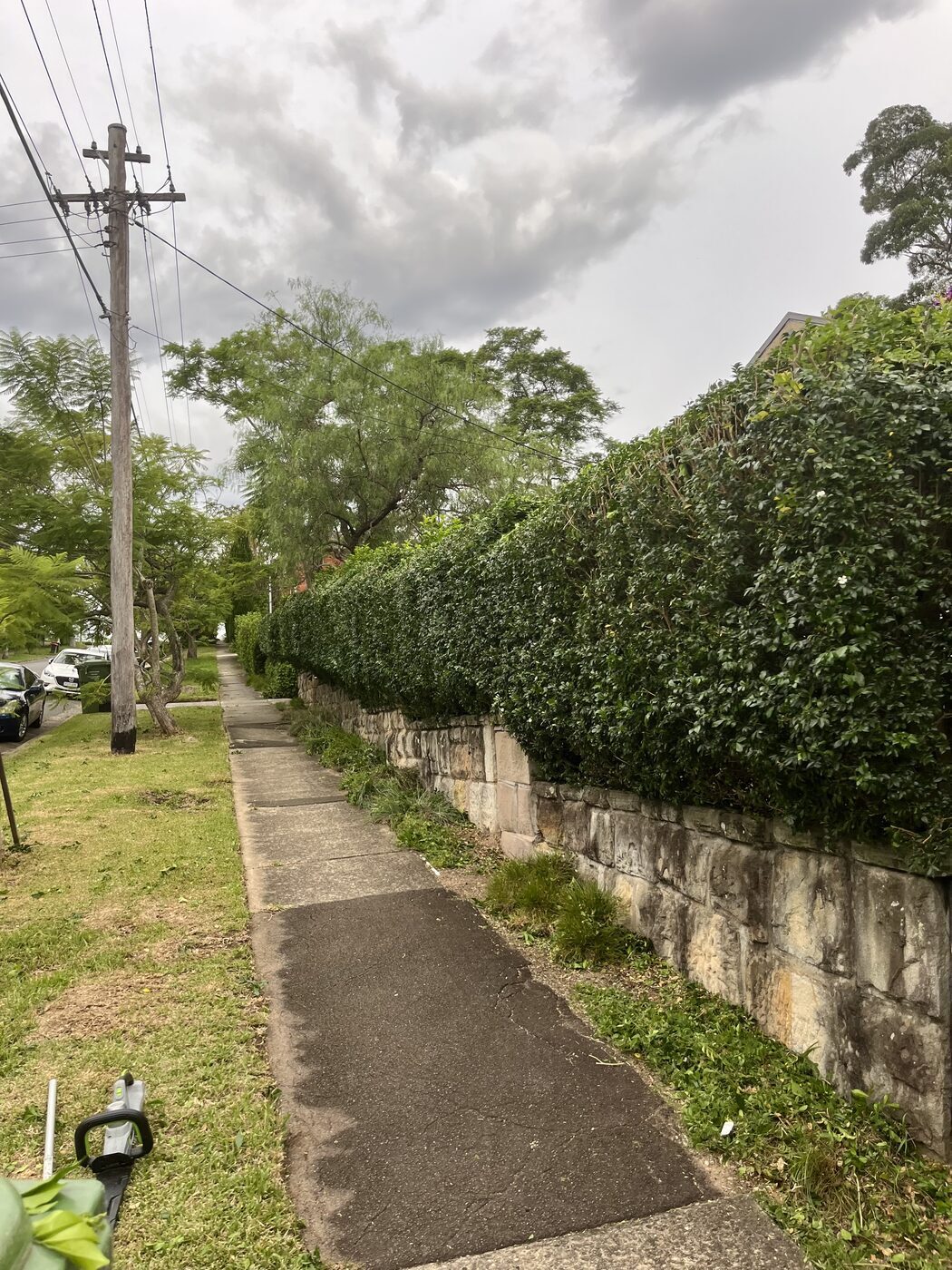 After — Street hedge shaped along sandstone wall in Killara