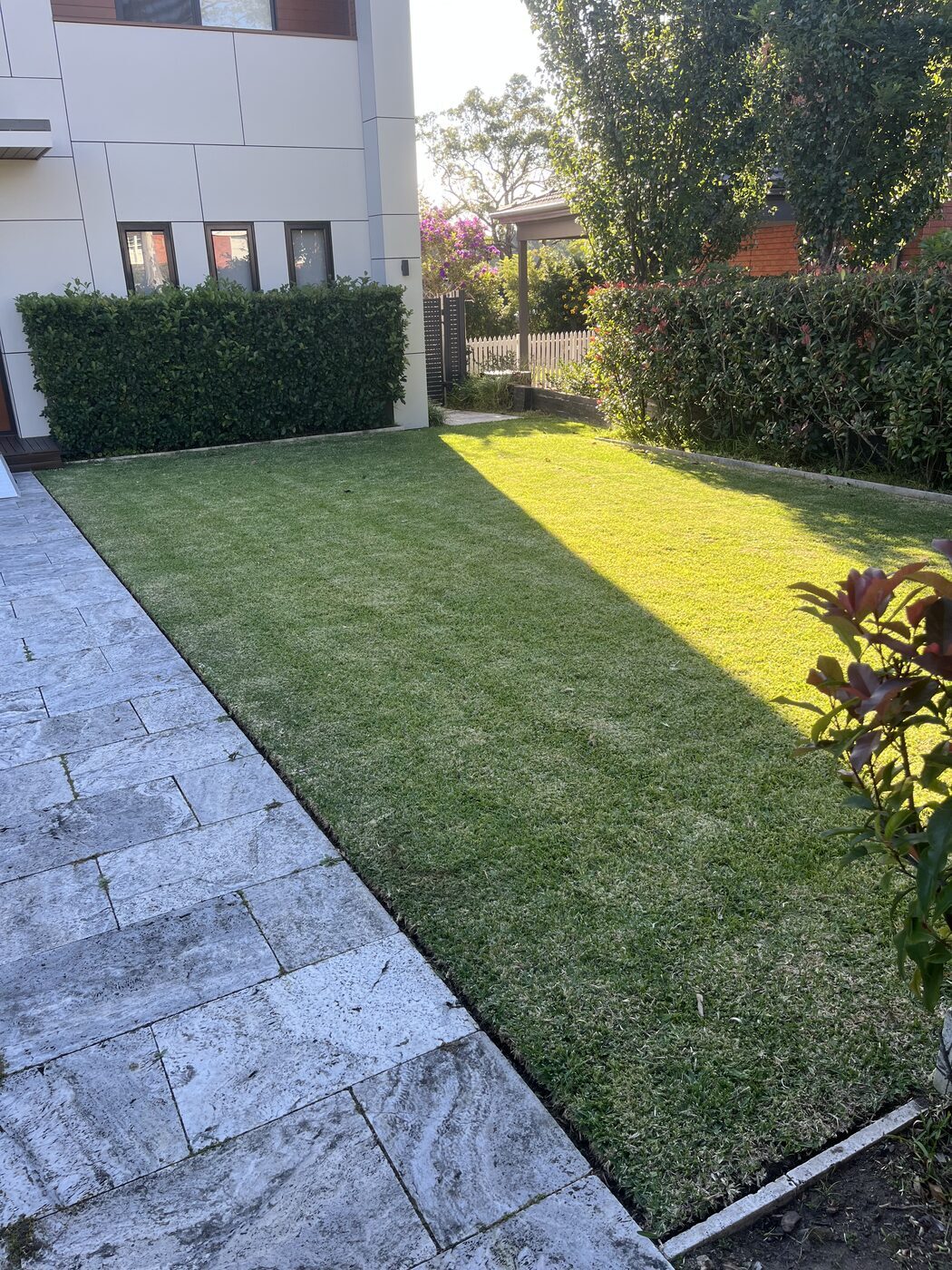 After — Front garden lawn trim and edges in Lindfield