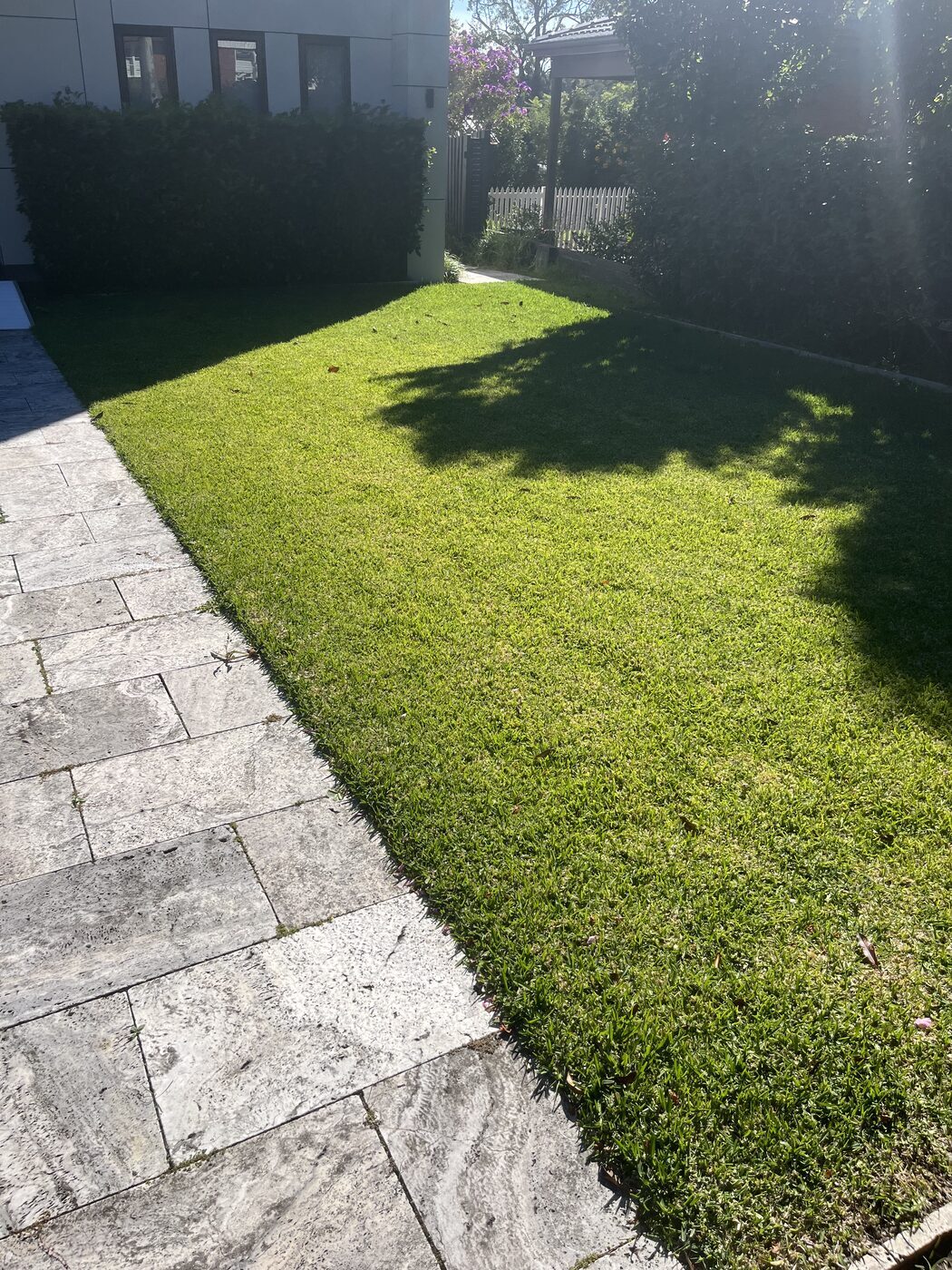Before — Front garden lawn trim and edges in Lindfield