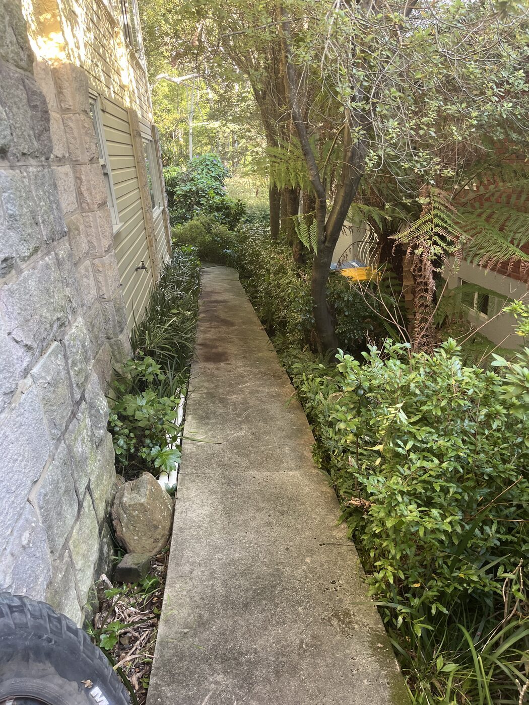 After — Front path cleaned and lawn mowed in Killara