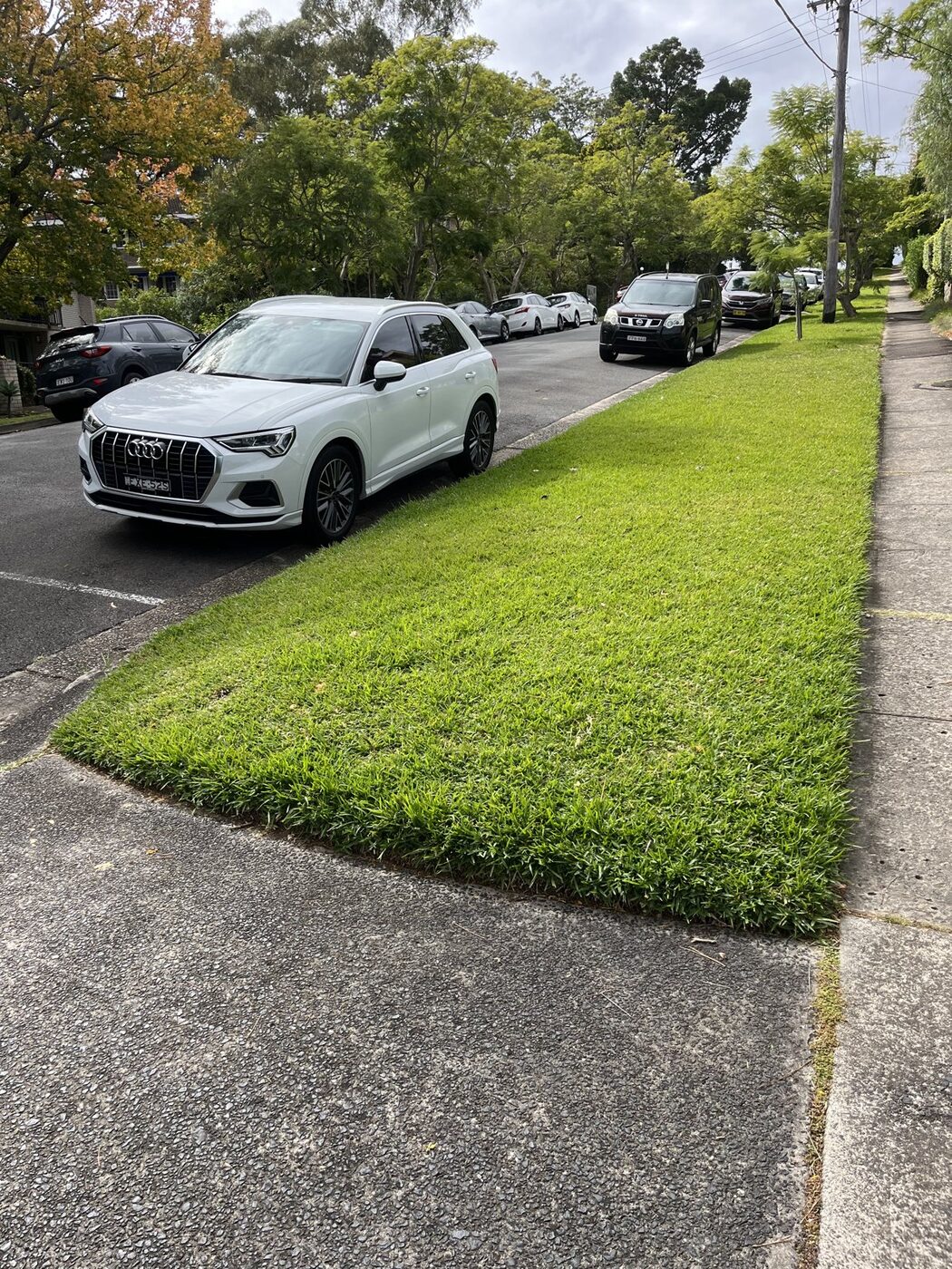 Before — Nature strip lawn restored to lush green in Killara