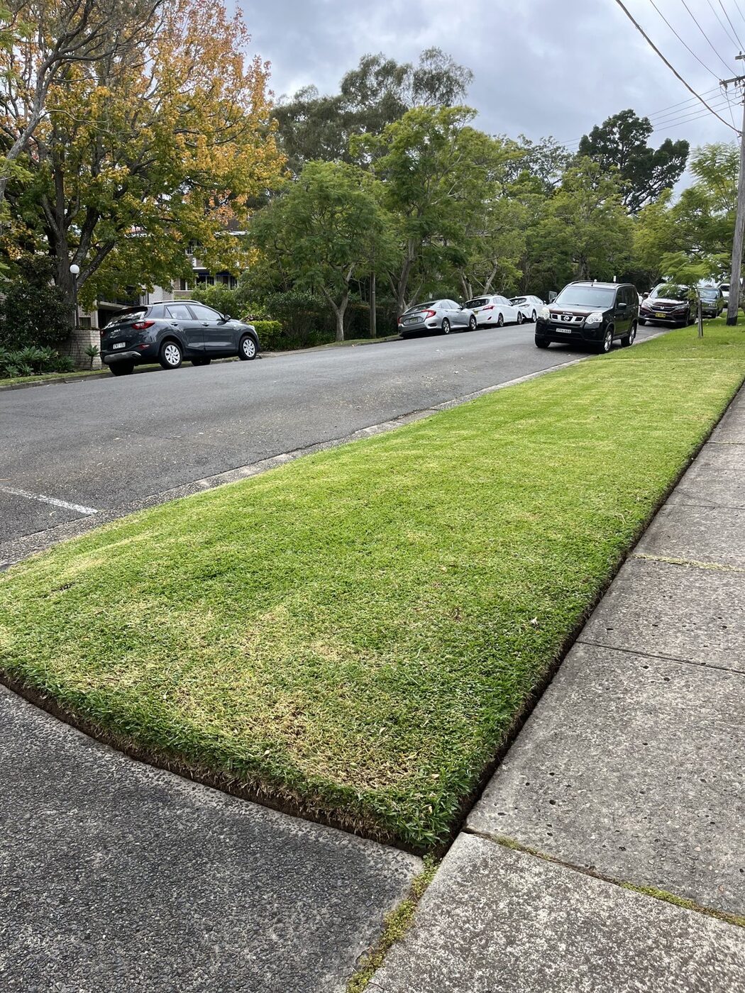 After — Nature strip lawn restored to lush green in Killara
