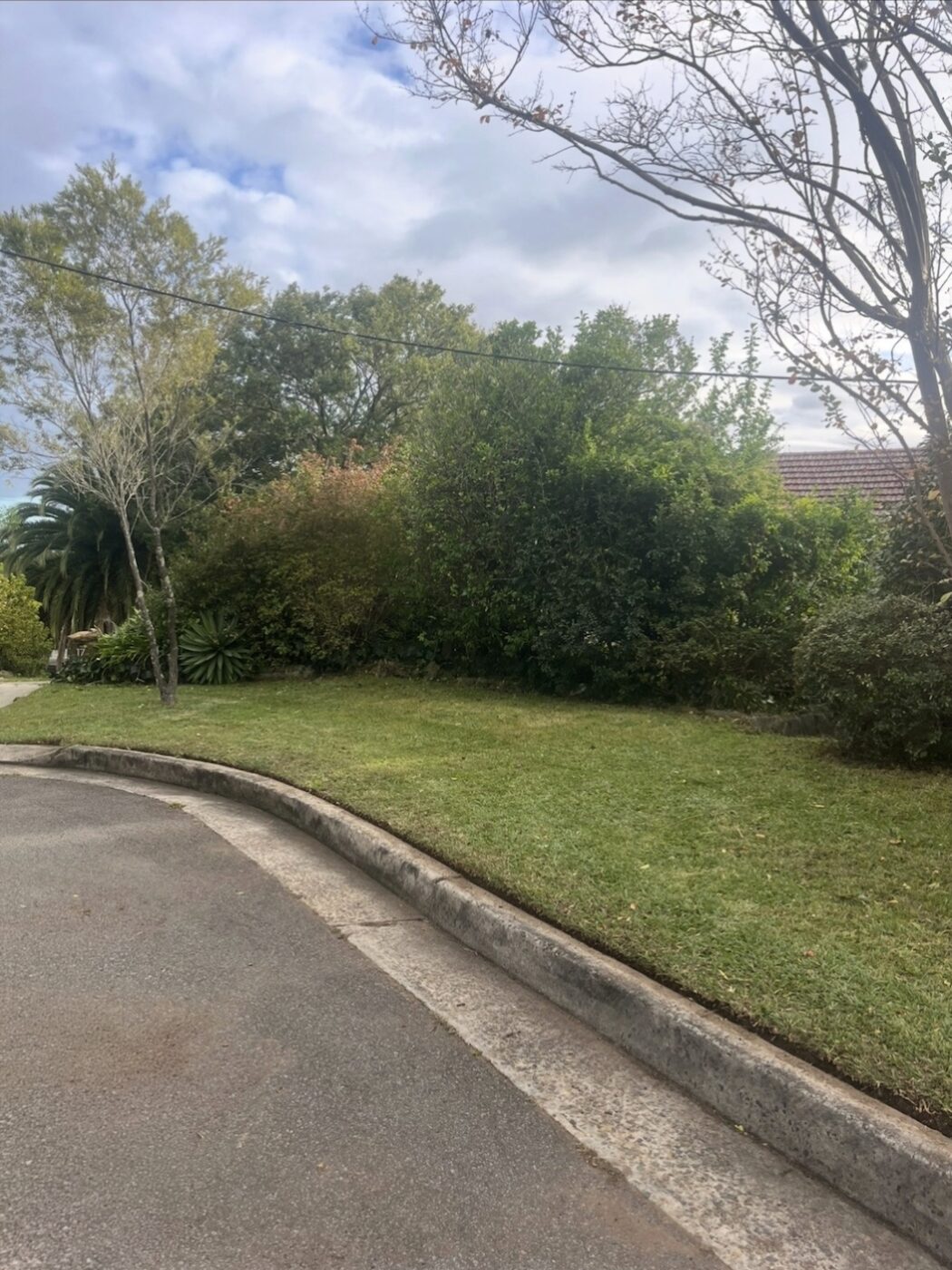After — Corner nature strip lawn mowed and tidied in Lindfield