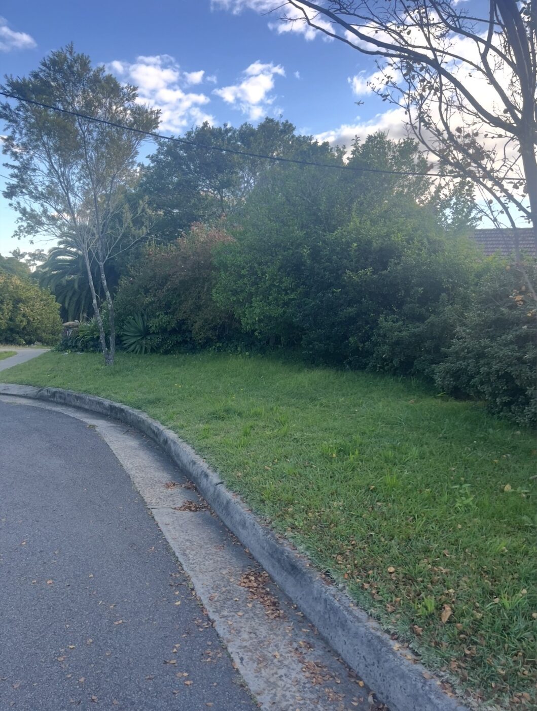 Before — Corner nature strip lawn mowed and tidied in Lindfield